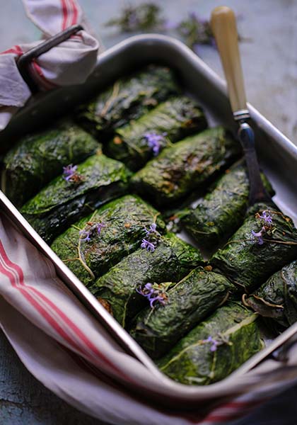 Feuilles de blettes farcies